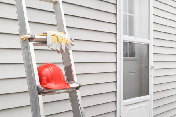 Best Engineered Wood Siding  in Paw Paw, MI