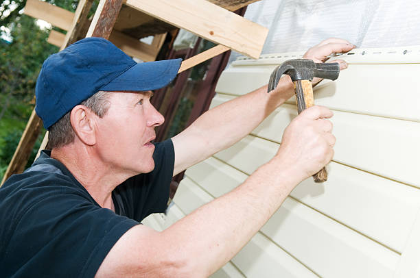 Best Fiber Cement Siding Installation  in Paw Paw, MI