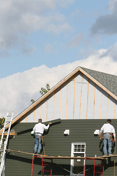 Best Fascia and Soffit Installation  in Paw Paw, MI