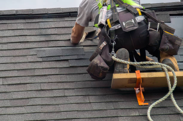 Affordable siding repair and maintenance services in Paw Paw, MI
