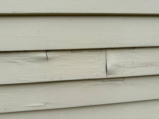 Best Stucco Siding  in Paw Paw, MI