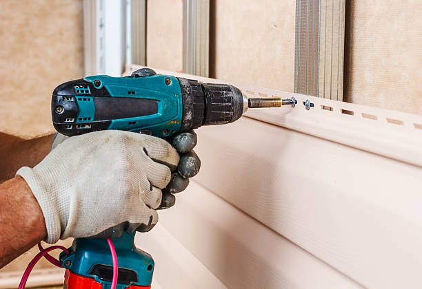 Best Historical Building Siding Restoration  in Paw Paw, MI